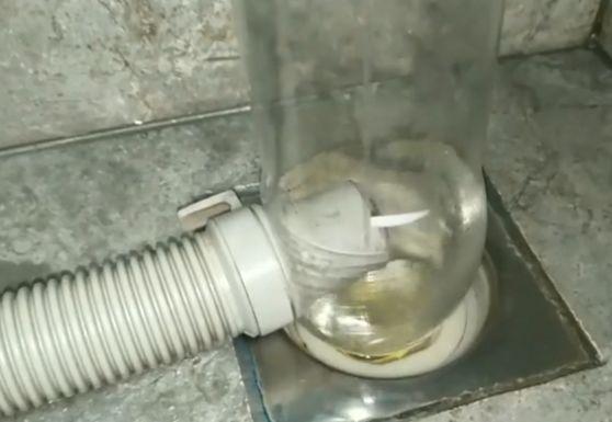 飲料瓶大用途,和洗衣機(jī)排水管碰到一起,解決大問題